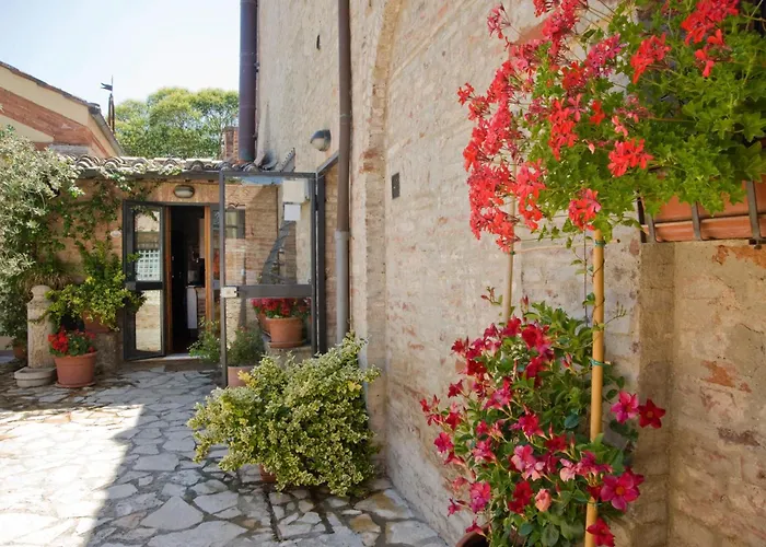  Il Pettirosso Di