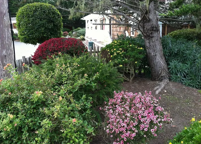 Hotels Close to Airport Lighthouse Lodge & Cottages