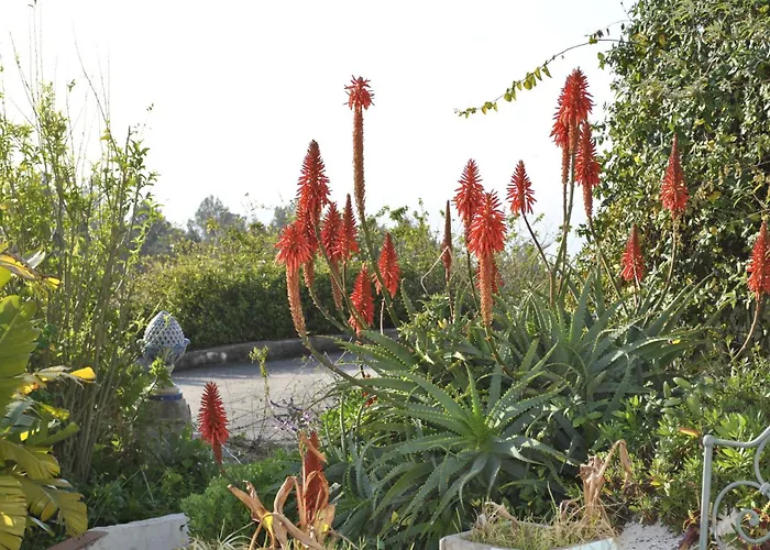 Quinta De Sao Filipe