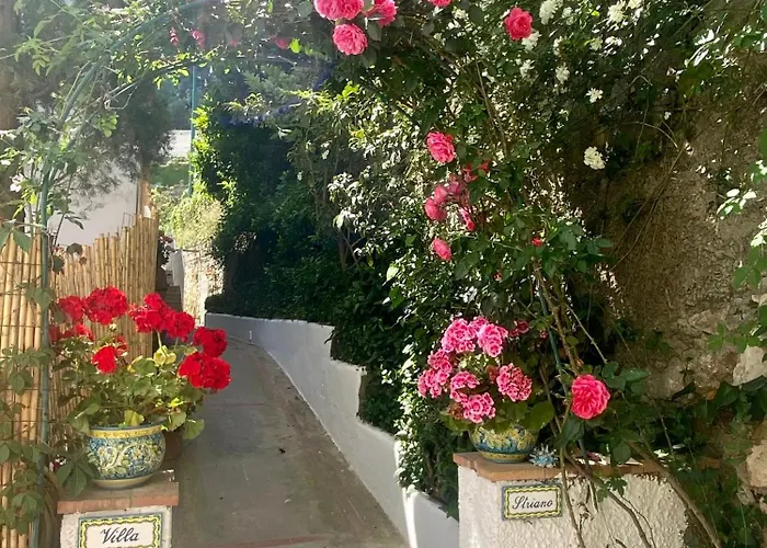Striano Capri - Guest House - Rooms Garden&Art