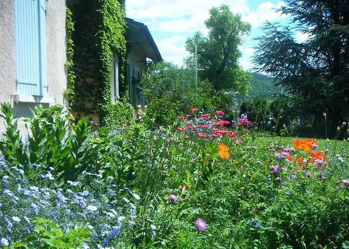 Hôtel accueillant les animaux: Cit'Hotel Avantici Gap