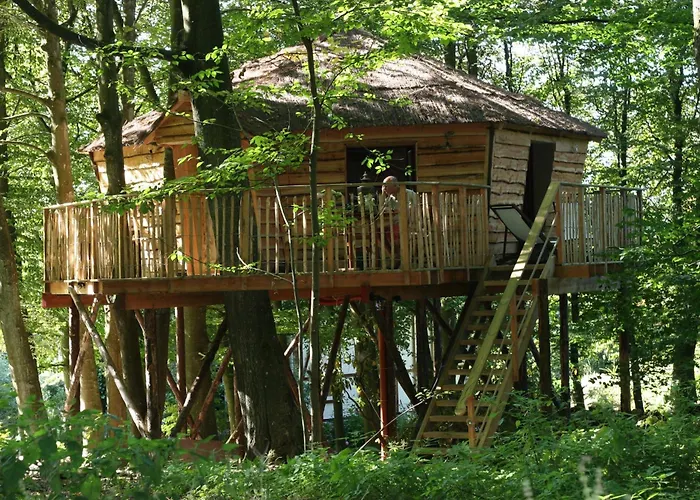  B&B La Cabane Du Bois Dormant