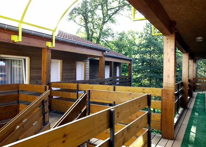Grands Chênes du Parc