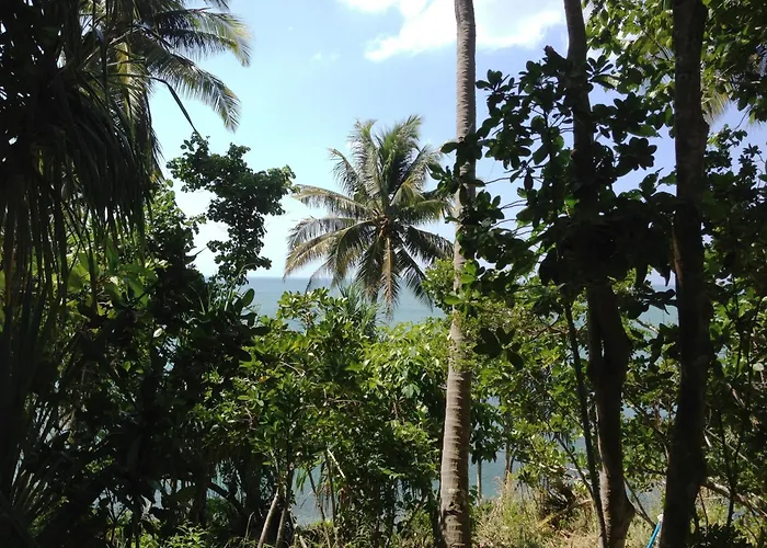 Narima - Sha Plus