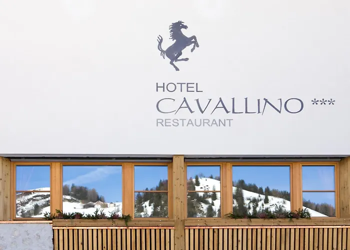 Hotel familiare: Hotel Cavallino