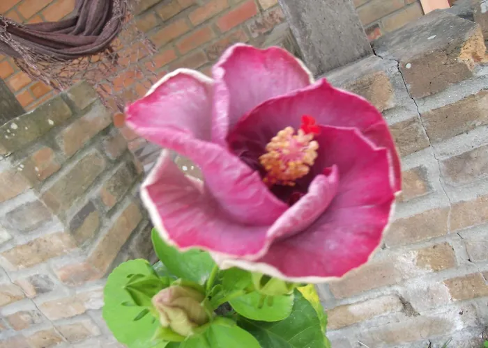 Pousada Bom Clima - Melhor custo Benefício em Gravatá