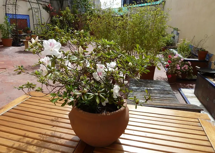 Via Arriba terraza