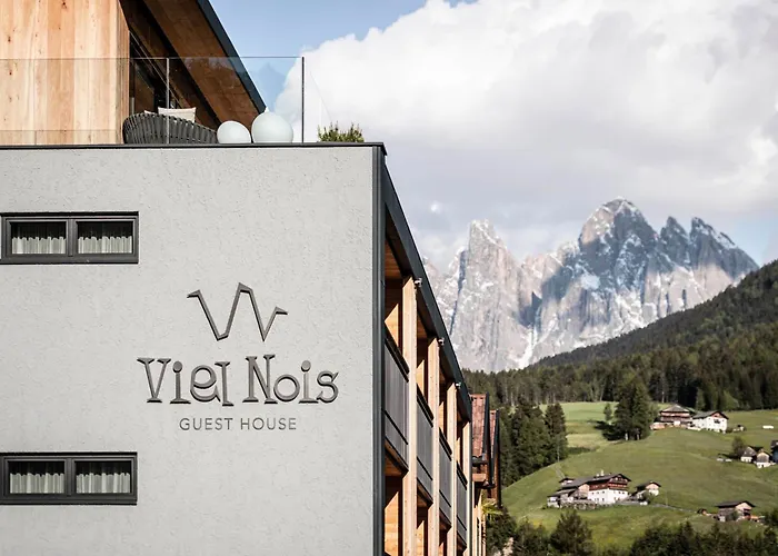 Viel Nois