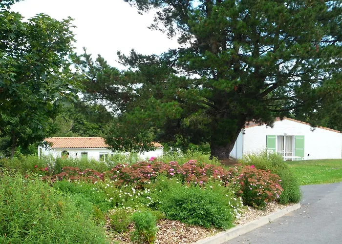 Hôtel accueillant les animaux: Village Vacances de Chantonnay