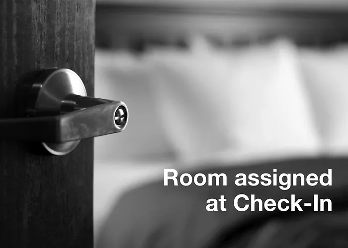 Pet Friendly hotel: Miami Princess Hotel
