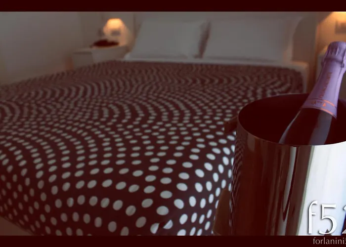 Hotel 3 stelle: Hotel Forlanini 52