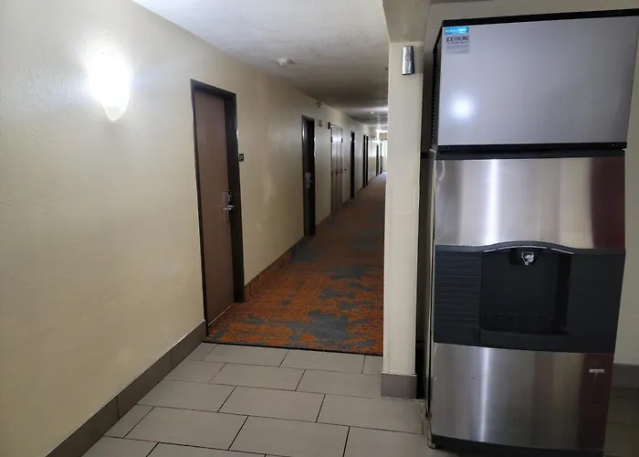Super8 By Wyndham Nearby Clearwater St Petersburg International Airport