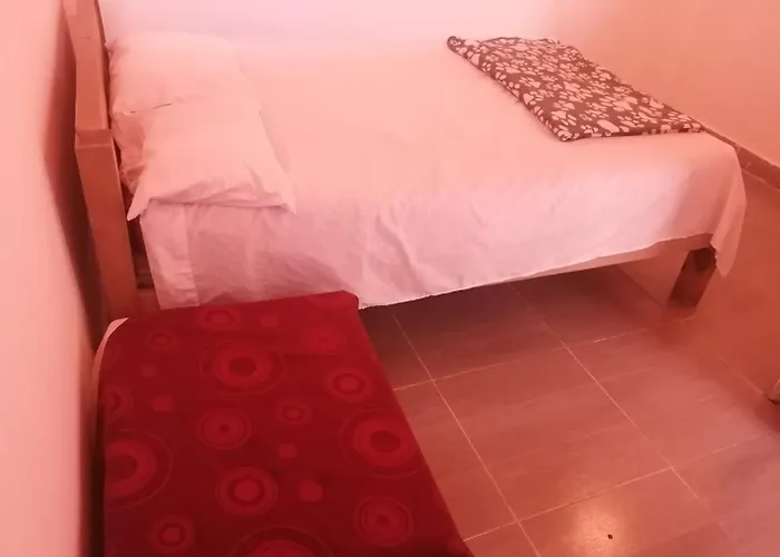 Una Cuadra Del Parque, Hostal Suculenta Jardin Glamping