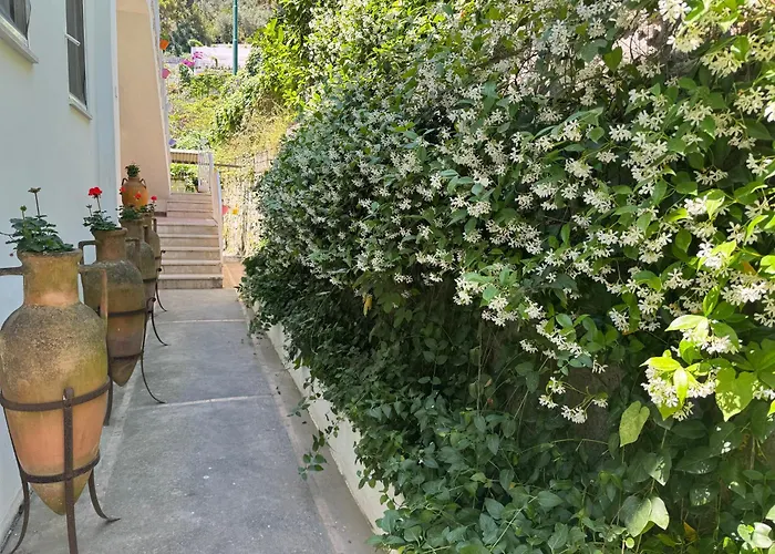Striano Capri - Guest House - Rooms Garden&Art