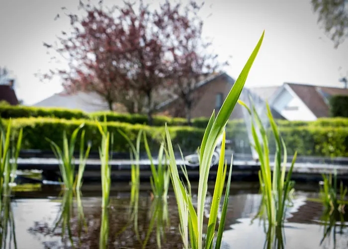 Appartement: Holiday Suites De Haan