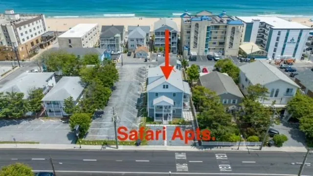 Safari s