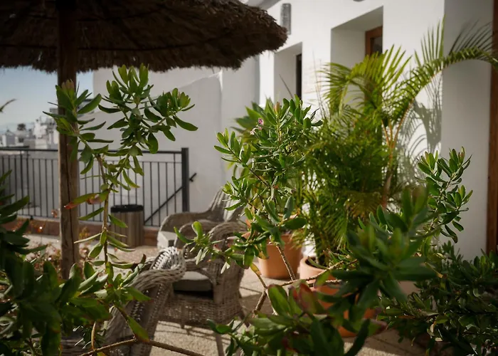  Palmeras Del Califa