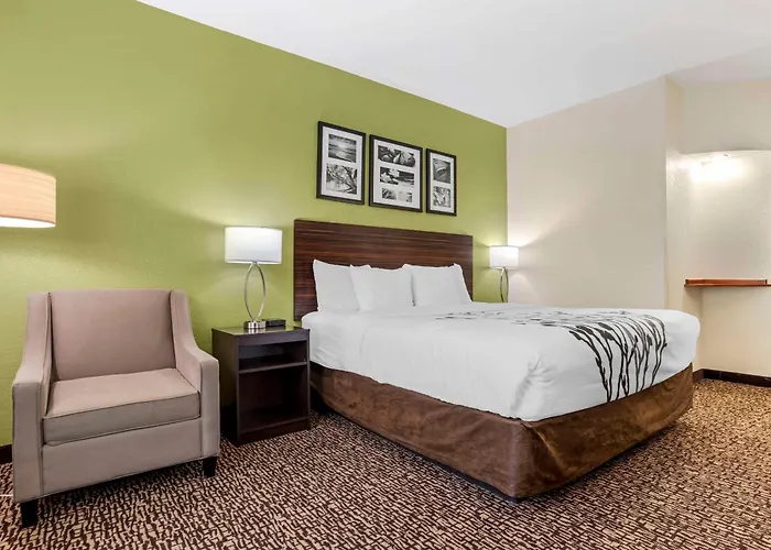 Dog friendly hotels Sleep Inn & Suites Montgomery East I-85