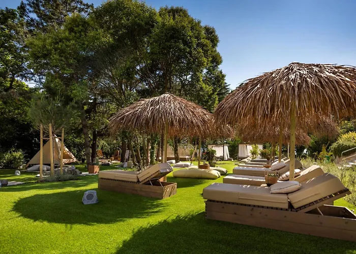 Hotel adatto agli animali: Valamar Parentino Hotel
