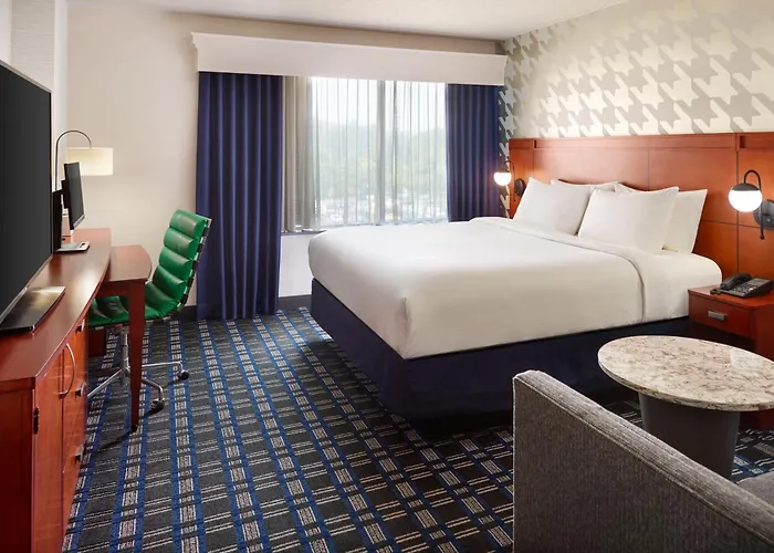 3 star hotels Courtyard Arlington Crystal City/Reagan National Airport