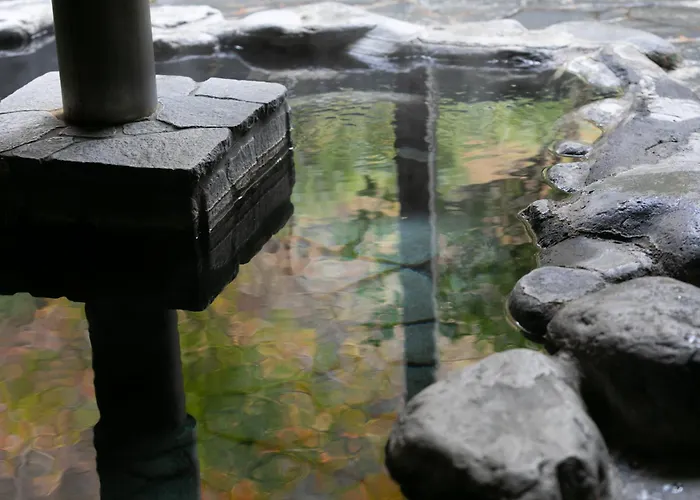 Onsen Guest House Tsutaya
