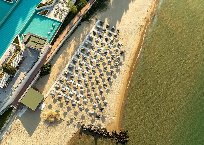Hôtel accueillant les animaux: Secrets Sunny Beach Resort And Spa (Adults Only)