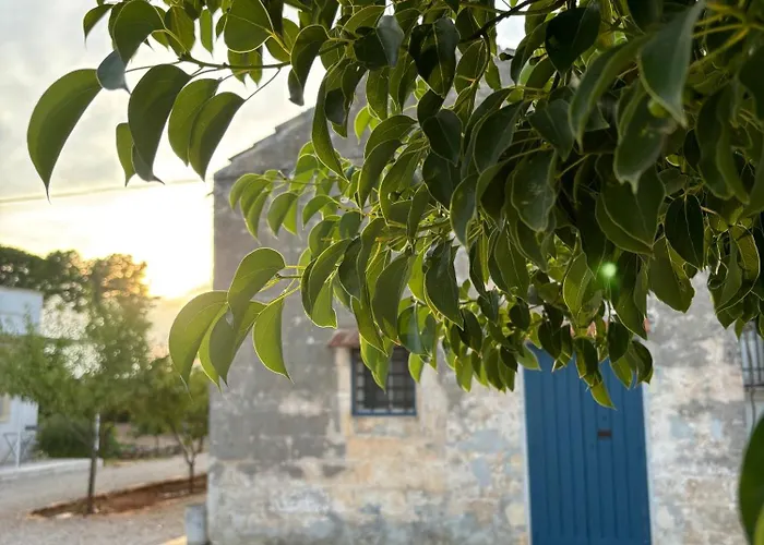 Tenuta Villa Vittoria