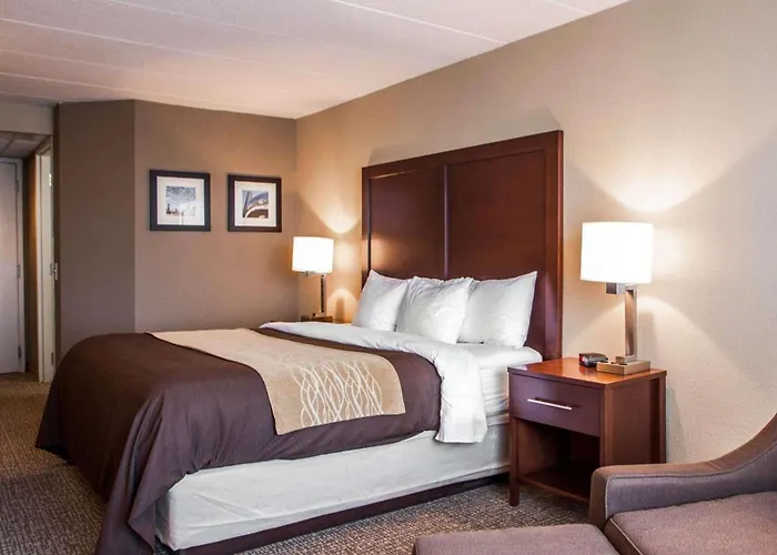 Quality Inn & Suites Orland Park - Chicago