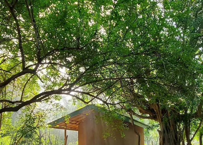 Family Hotel: Clay Hut Village