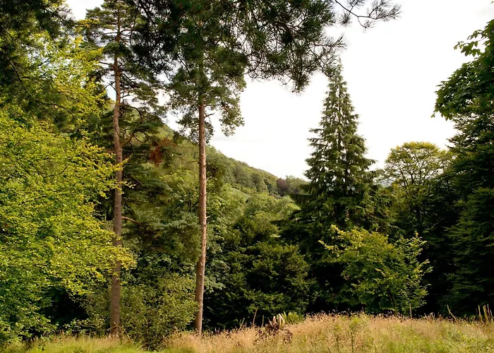 Yha Langdale