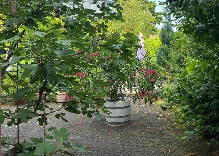 Villa zur Erholung Bed&Breakfast