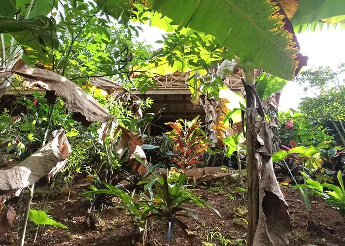 Samo Eco Lodge