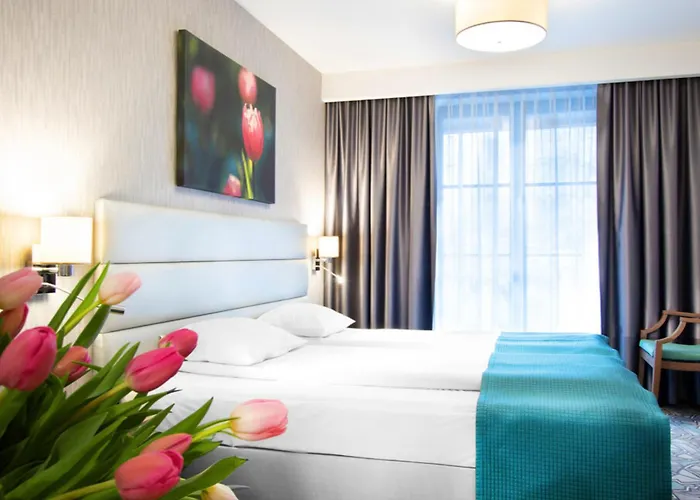 Pets Allowed Hotel Golden Tulip Krakow Kazimierz