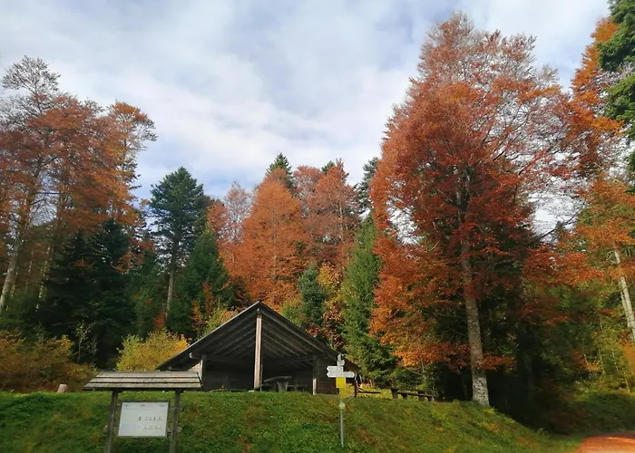 Am Kurpark