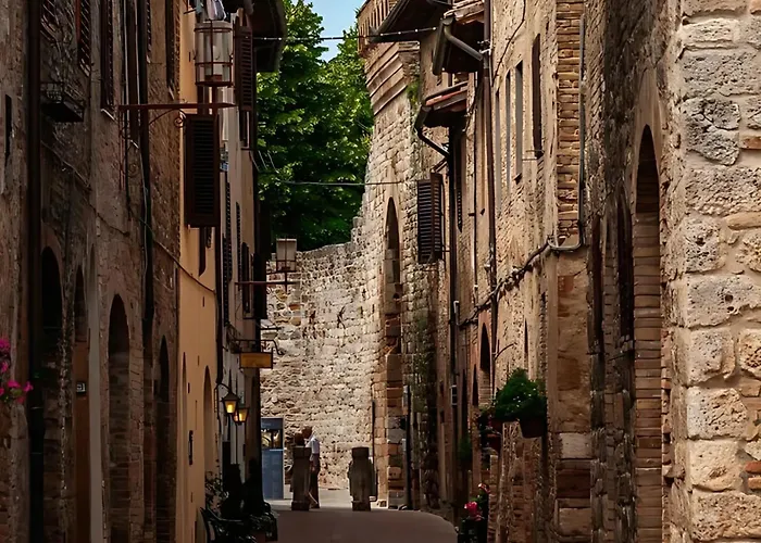  Il Pino