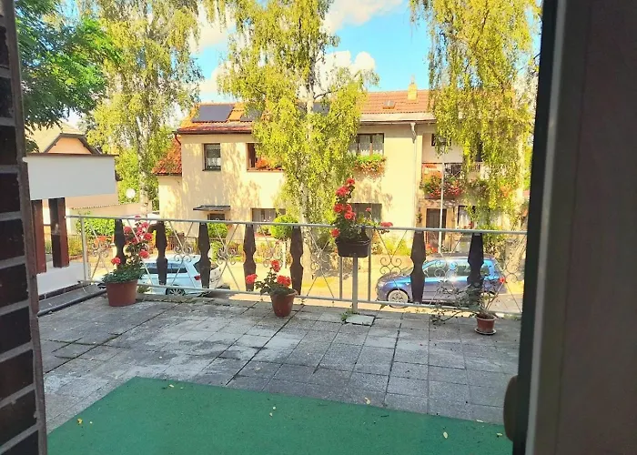 Lev I Sova