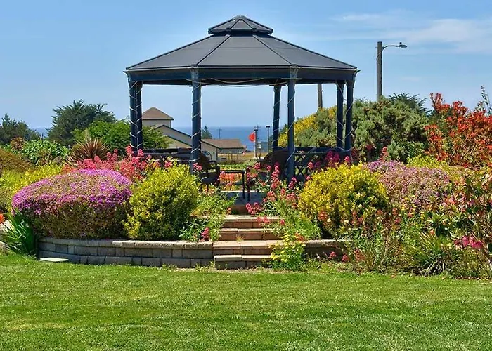 Surf And Gardens