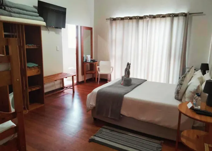 Mole Guesthouse