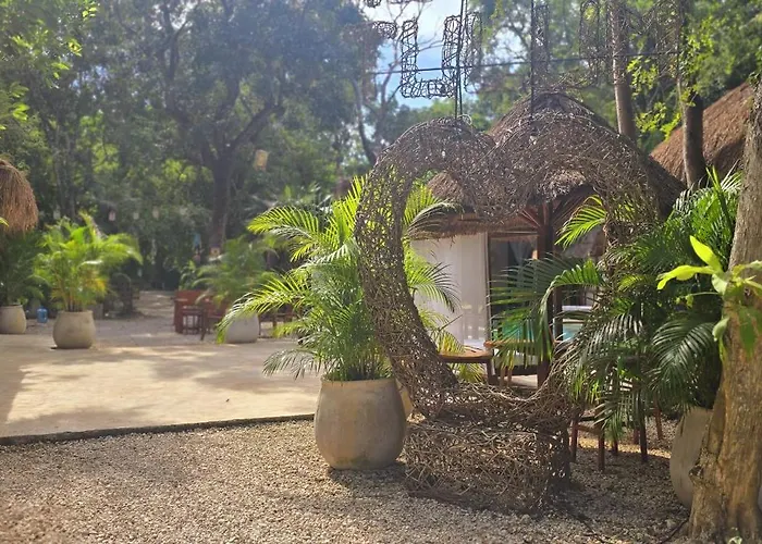 Kin Jungle Deluxe