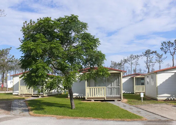 Hotel que aceita animais de estimação: Parque De Campismo Orbitur Gala