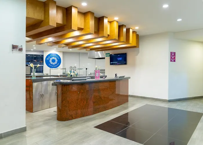 Dog friendly hotels Mision Puebla Angelopolis