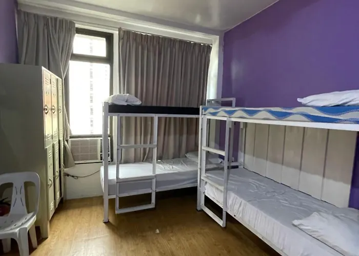 The Hostels Purple Tree