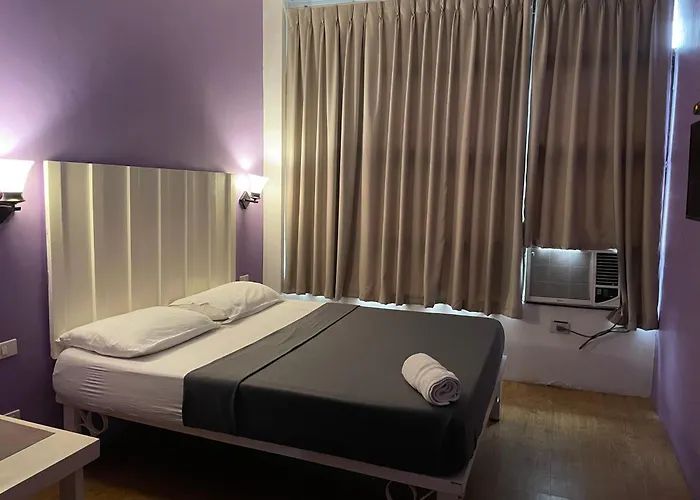 The Hostels Purple Tree