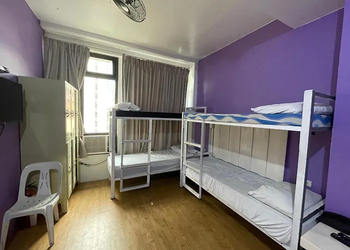 The Hostels Purple Tree