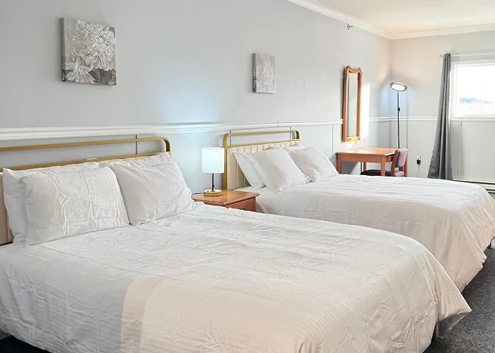 Elite Hotel -Downtown Center- 24 Hours "Ski & Northern Light Tour" "Hot Spring Tour "Long-Term Stay"