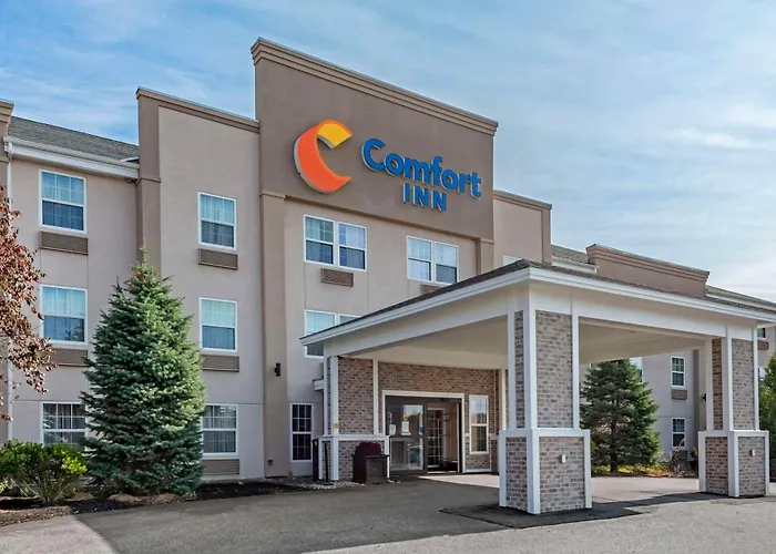 Comfort Augusta