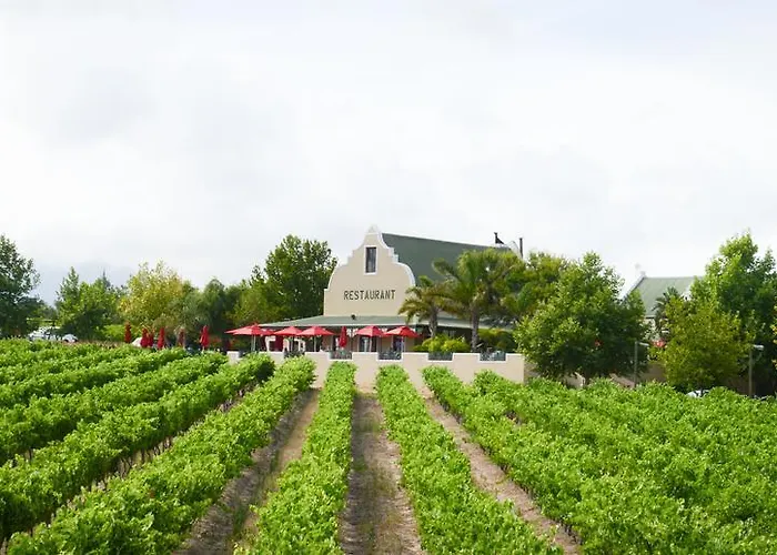 Skilpadvlei Wine Farm