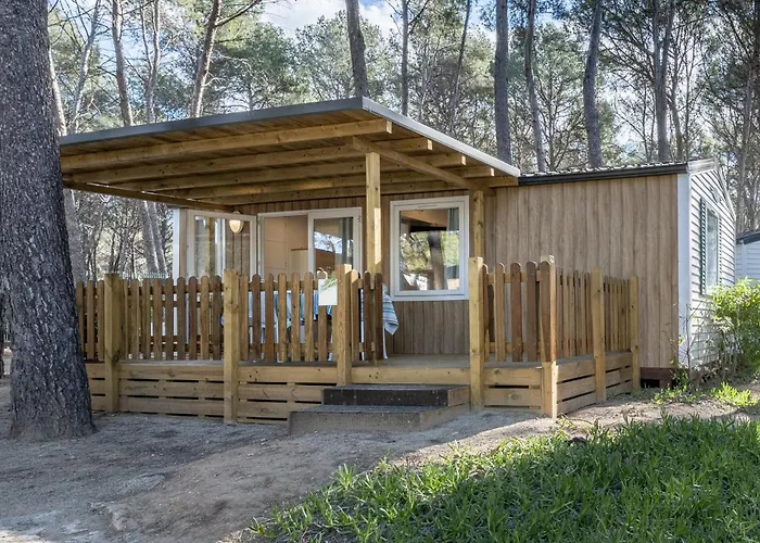 Camping Las Palmeras