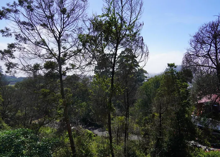 Pension Guide Kodai Drizzle - A Luxury Villa