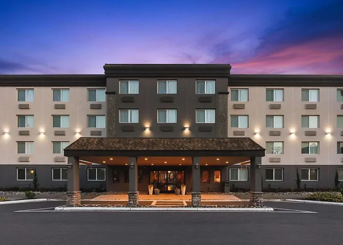 Pet Friendly hotel: Comfort Inn & Suites Vancouver Downtown City Center